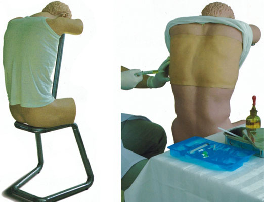 �������ز�������Ӗ��ģ��