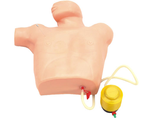 ����̎��ģ��