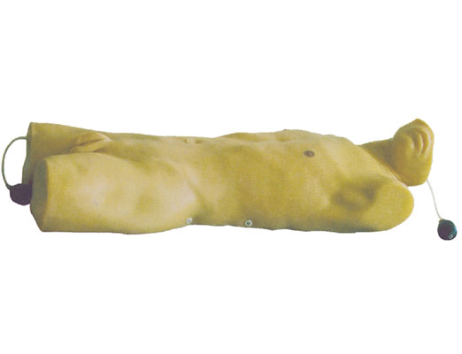 ��ǻ�]ʽ�����gӖ��ģ��