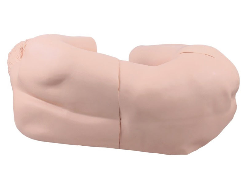 ��׵���̷���˜ʻ�����